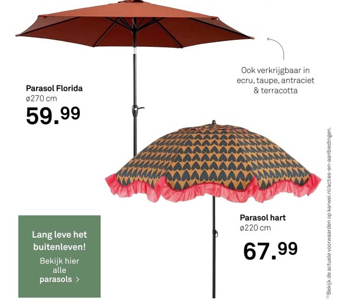 Parasol Florida