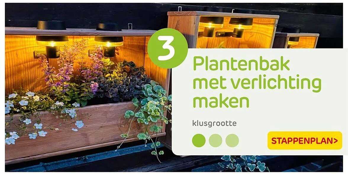 Plantenbak met verlichting maken