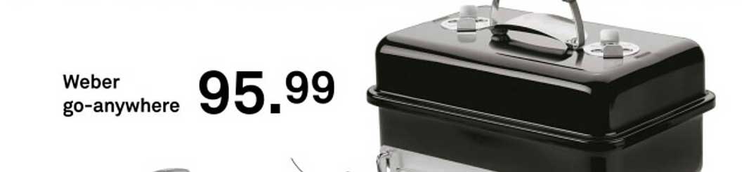 Weber go-anywhere