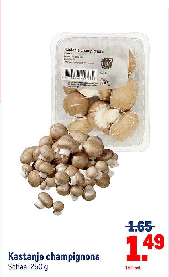 Kastanje champignons