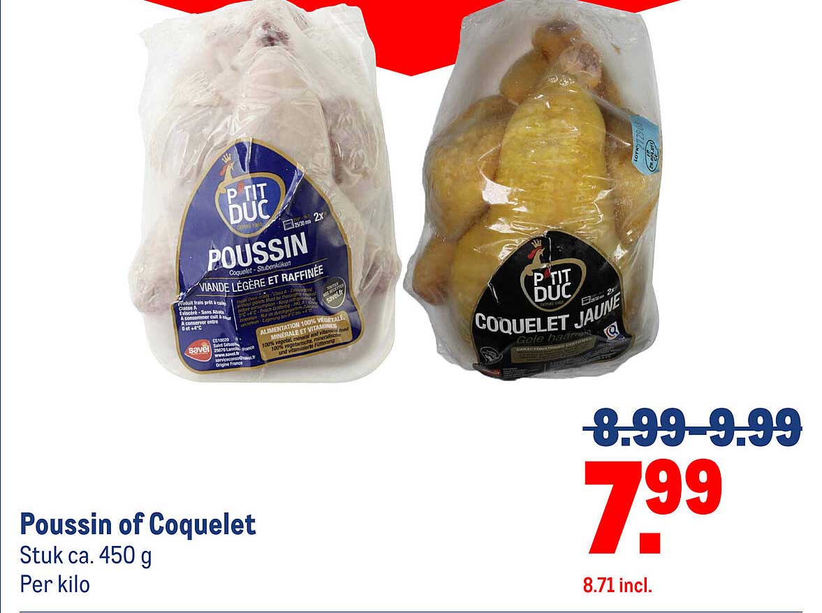 Poussin of Coquelet