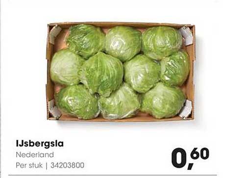 IJsbergsla