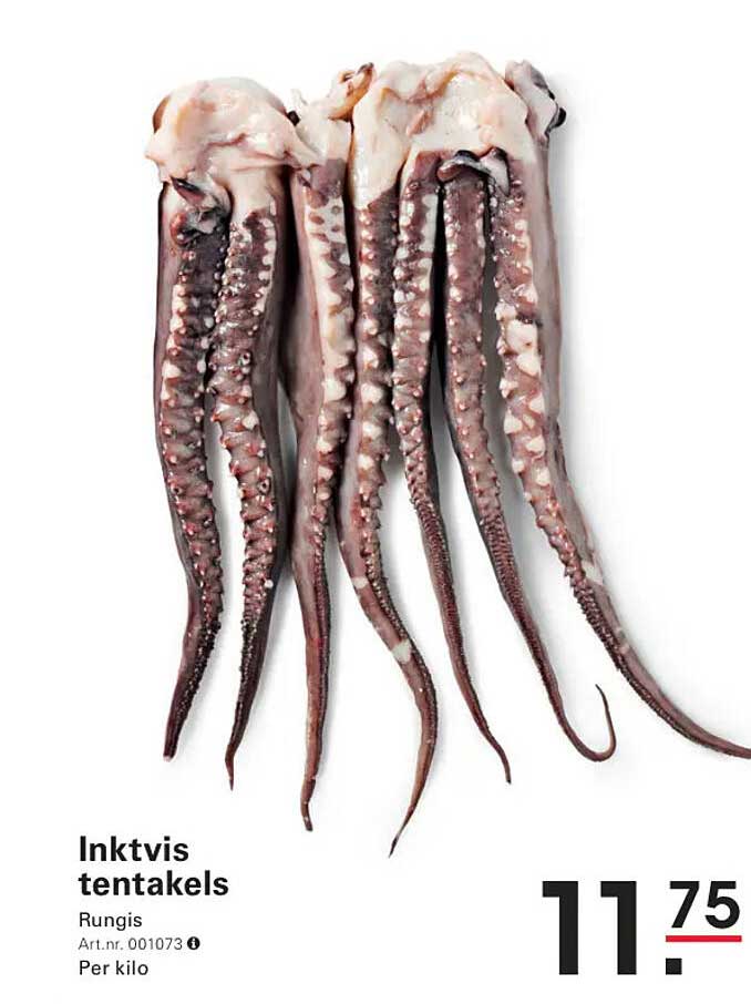 Inktvis tentakels