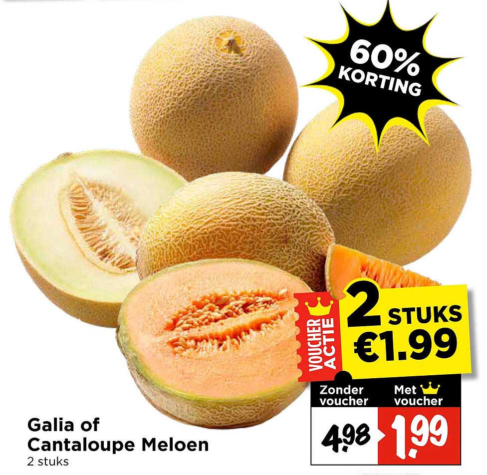 Galia of Cantaloupe Meloen 2 stuks 60% korting