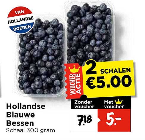 Hollandse Blauwe Bessen Schaal 300 gram