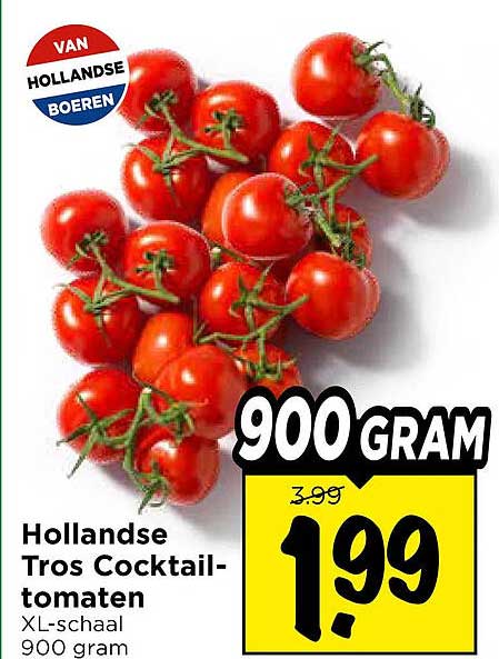 Hollandse Tros Cocktailtomaten XL-schaal 900 gram