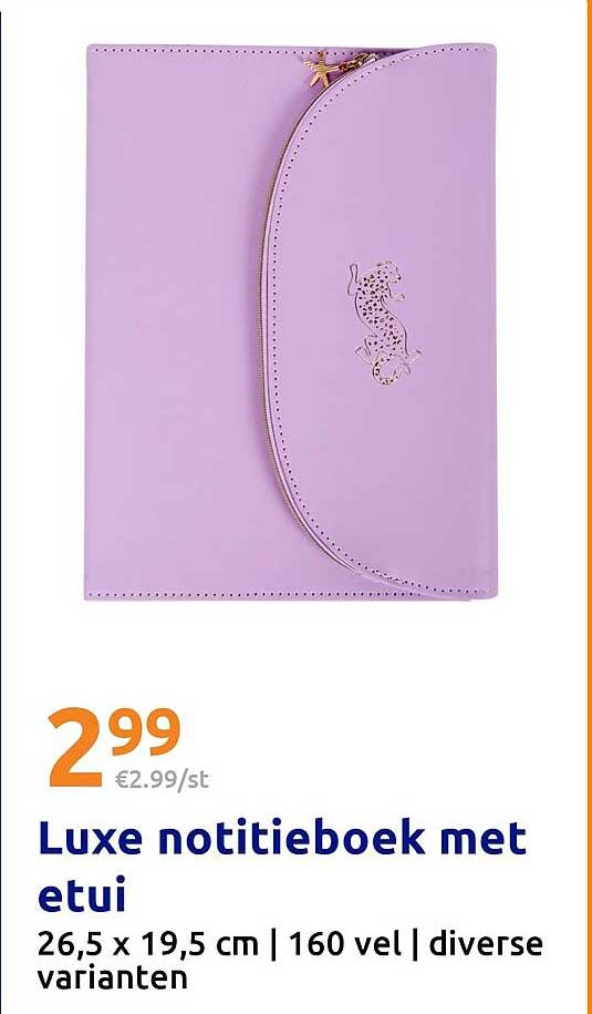 Luxe notitieboek met etui