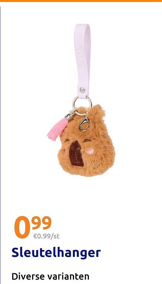 Sleutelhanger Diverse varianten