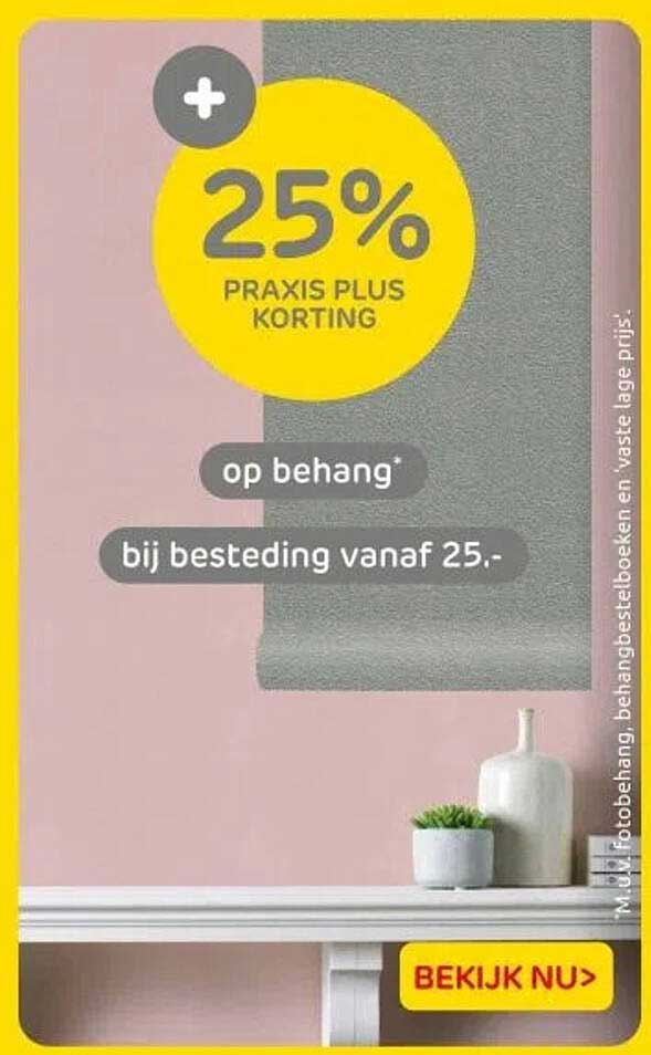 25% PRAKTIJK PLUS KORTING op behang bij besteding vanaf 25.-