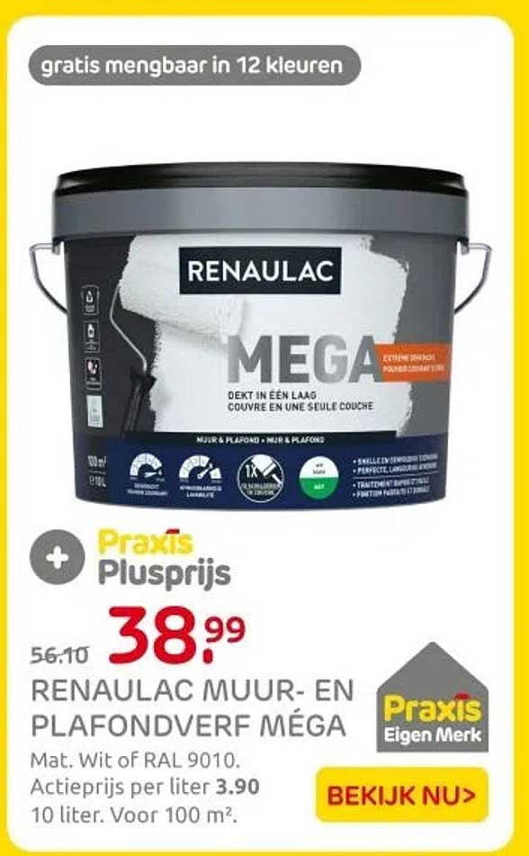 RENAULAC MUUR- EN PLAFONDVERF MÉGA