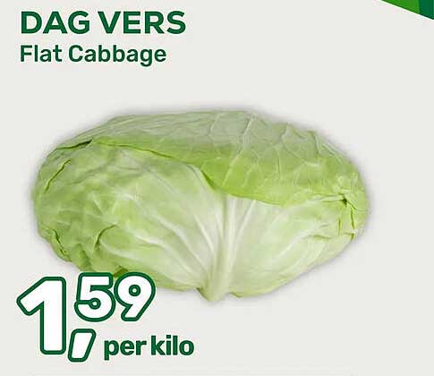 DAG VERS Flat Cabbage