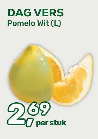 DAG VERS Pomelo Wit (L)
