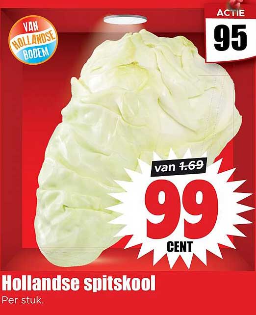 Hollandse spitskool