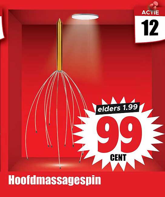 Hoofdmassagespin