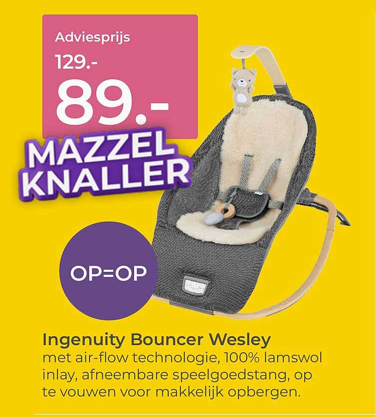 Ingenuity Bouncer Wesley