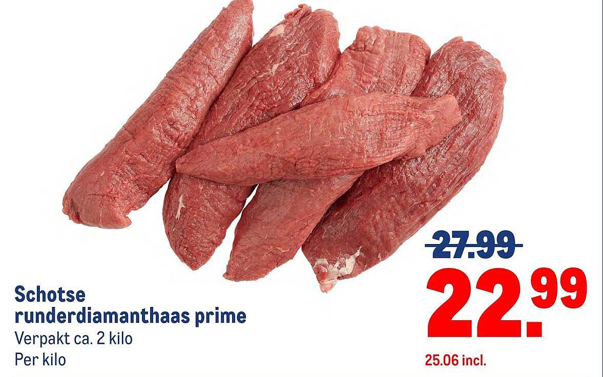 Schotse runderdiamanthaas prime
