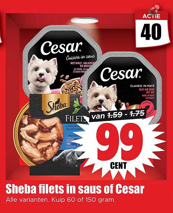 Sheba filets in saus of Cesar