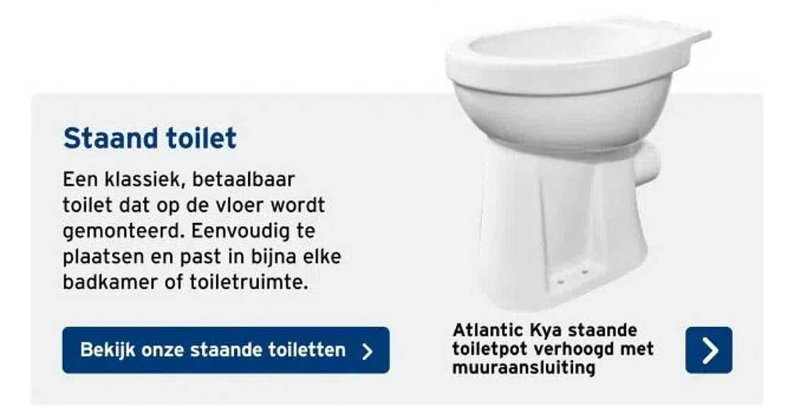 Staand toilet