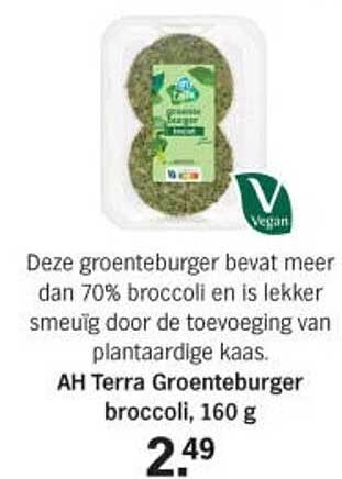 AH Terra Groenteburger broccoli, 160 g