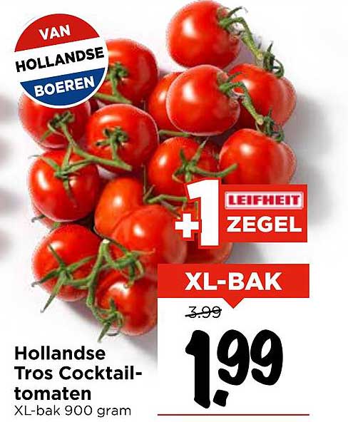 Hollandse Tros Cocktail-tomaten XL-bak 900 gram