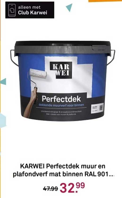 KARWEI Perfectdek muur en plafondverf mat binnen RAL 901...