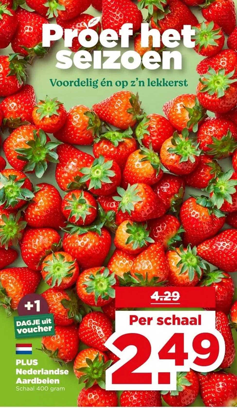 PLUS Nederlandse Aardbeien Schaal 400 gram