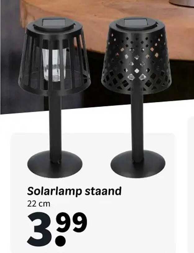 Solarlamp staand 22 cm