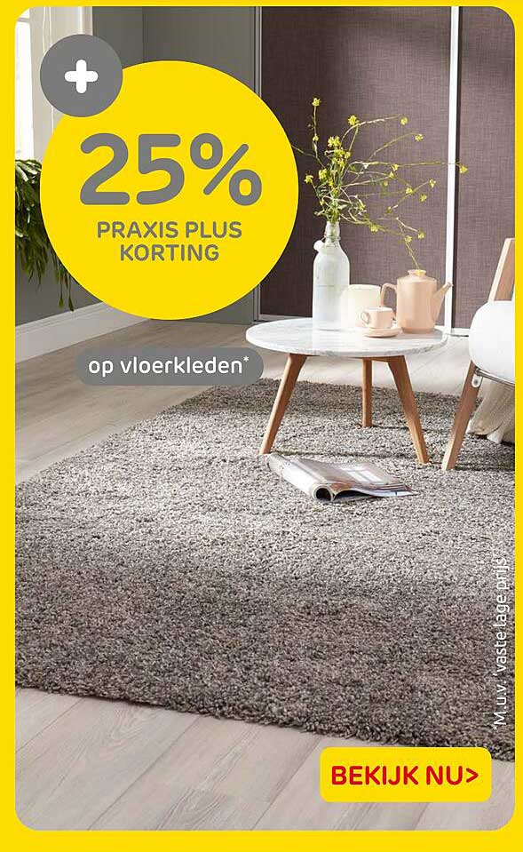 25% Praxis Plus korting op vloerkleden*