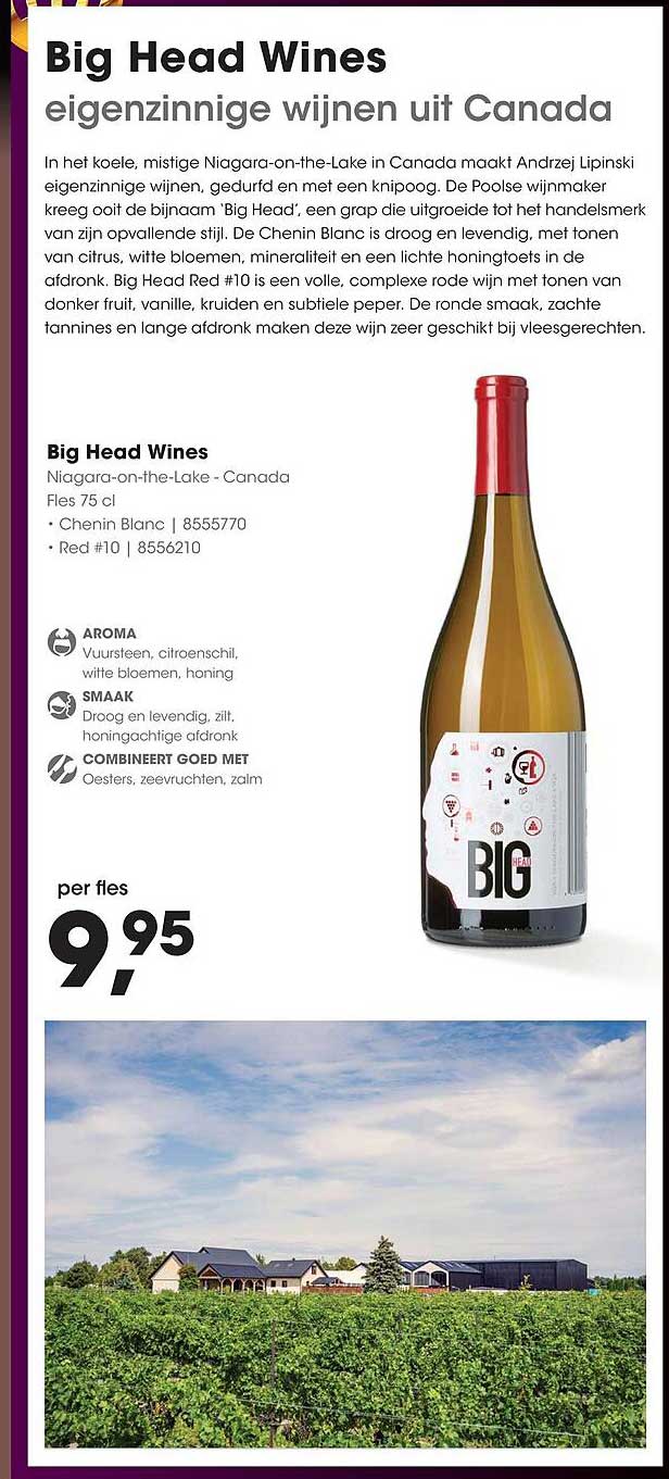 Big Head Wines eigenzinnige wijnen uit Canada