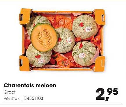Charentais meloen