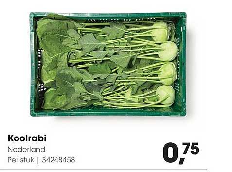 Koolrabi Nederland