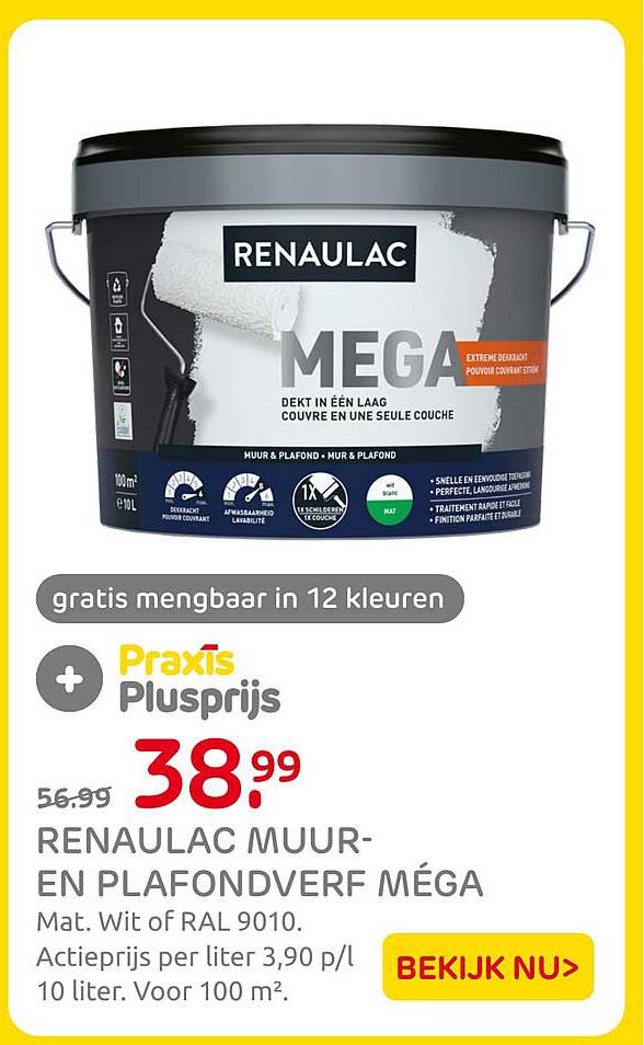 RENAULAC MUUR- EN PLAFONDVERF MÉGA gratis mengbaar in 12 kleuren