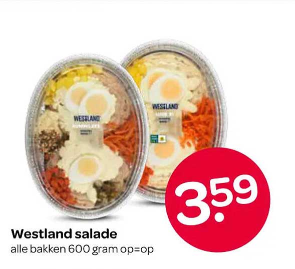 Westland salade alle bakken 600 gram op=op