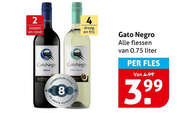 Gato Negro