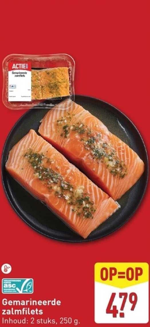 Gemarineerde zalmfilets