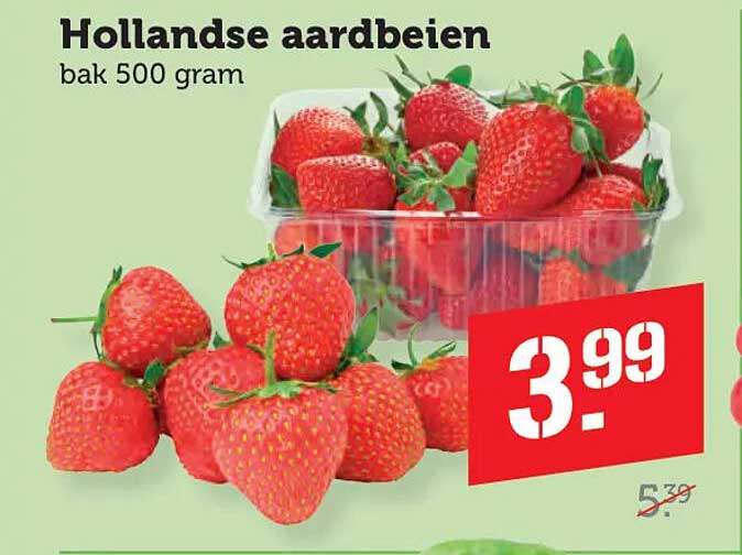 Hollandse aardbeien bak 500 gram