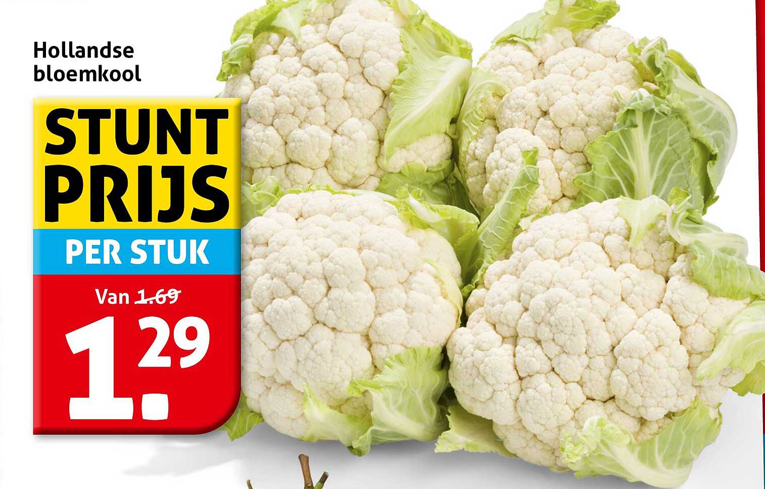 Hollandse bloemkool