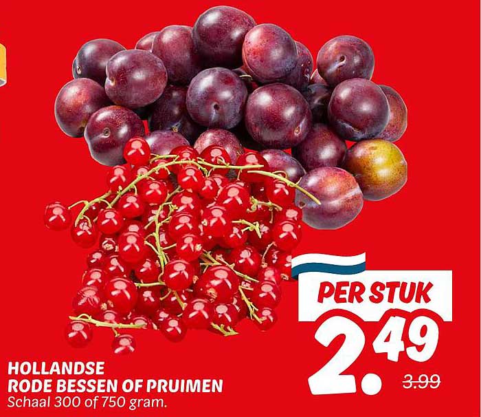 HOLLANDSE RODE BESSEN OF PRUIMEN