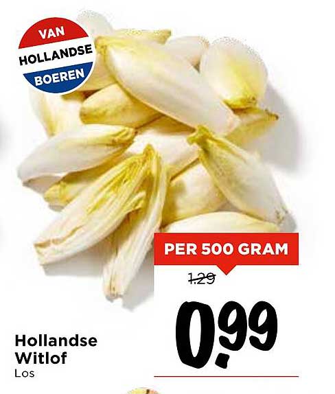 Hollandse Witlof