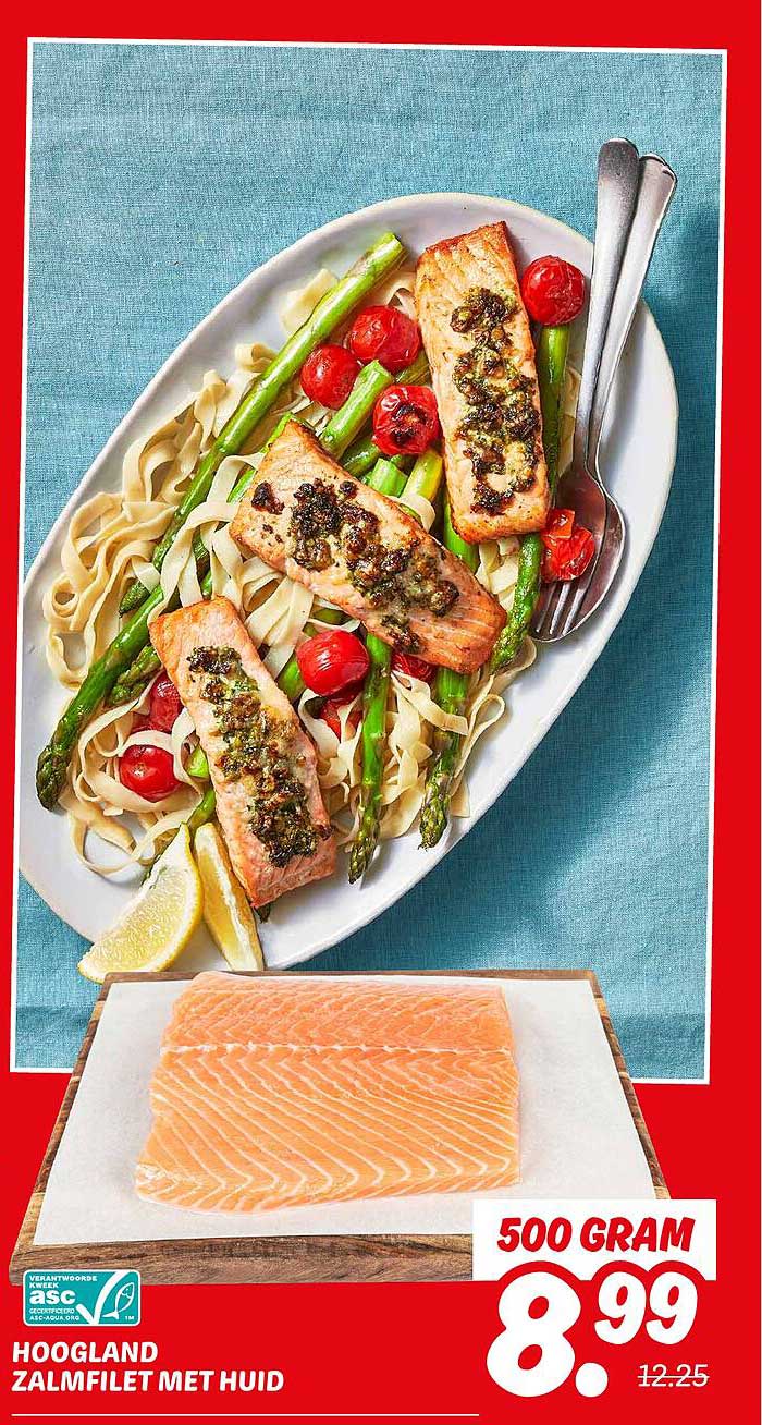HOOGLAND ZALMFILET MET HUID
