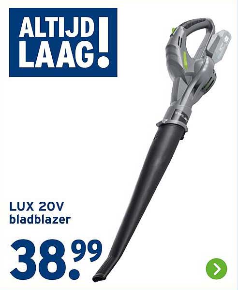 LUX 20V bladblazer