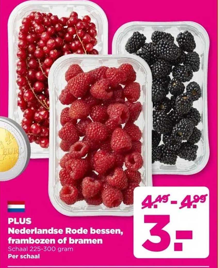 Nederlandse Rode bessen, frambozen of bramen