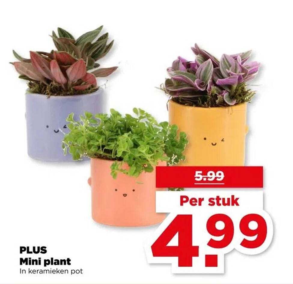 PLUS Mini plant in keramieken pot