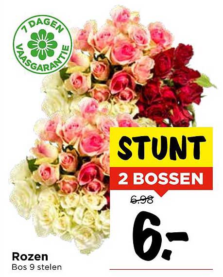 Rozen 2 bossen