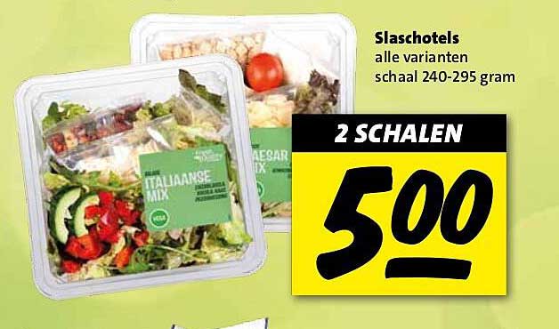 Slaschotels alle varianten schaal 240-295 gram