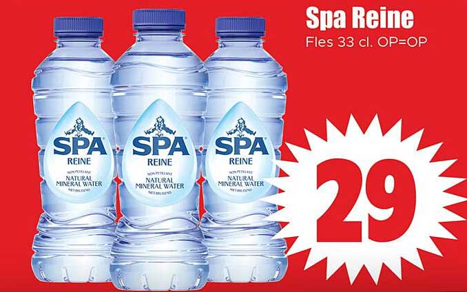 Spa Reine Fles 33 cl. OP=OP