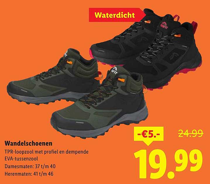 Wandel-schoenen