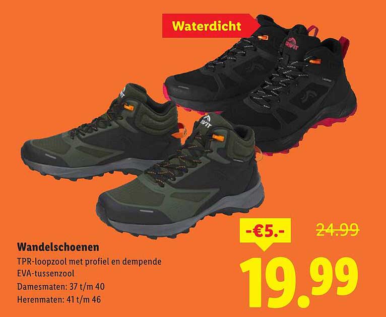 Wandelschoenen