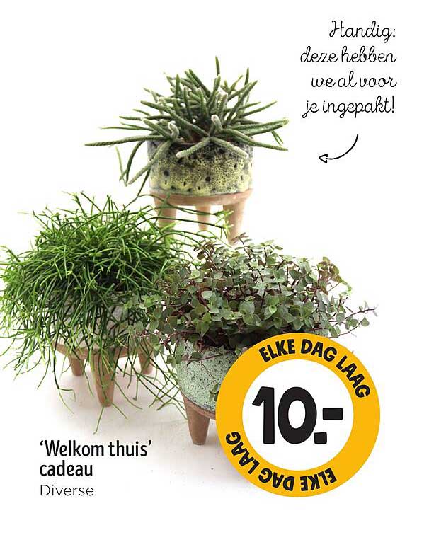 'Welkom thuis' cadeau