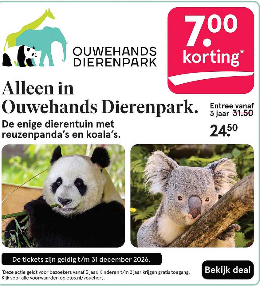 Alleen in Ouwehands Dierenpark. De enige dierentuin met reuzenpanda’s en koala’s.